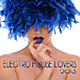 Electro House Lovers 2013