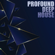Profound Deep House (Jizoom)